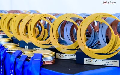 Resultados FGCV (Benidorm y Alcoy)